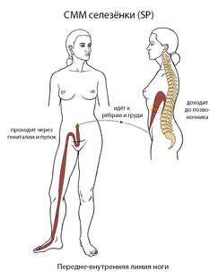 Чудесные меридианы к Весне и Осени