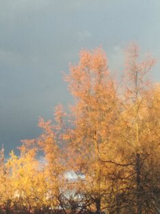 О великом художнике - природе!