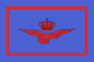 Военно-воздушные силы Италии