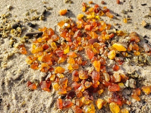 Калиниградская область