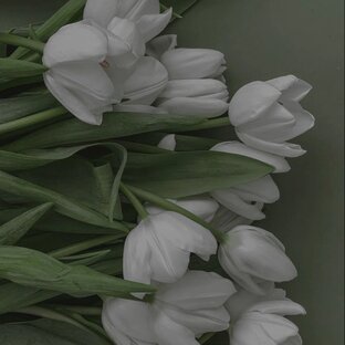 ▪️Психология, коучинг