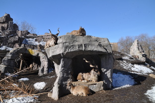 Наши путешествия