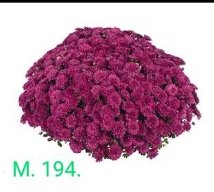 Уход и хранение 