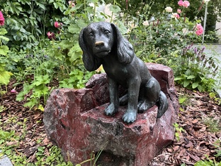 Признаки жизни