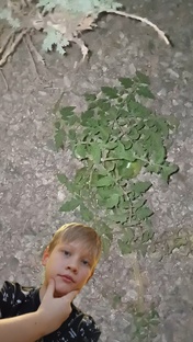 Тот самый помидор..