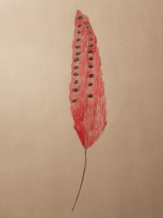 Вселенная №993