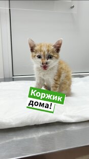 Cчастливые истории
