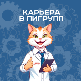 Карьера в ПИГРУПП