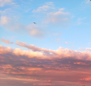 Астрология 💖