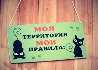 Мои правила. 