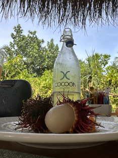 МАЛЬДИВЫ 🇲🇻 РЕЗОРТ COCOON MALDIVES на ВСЁ ВКЛЮЧЕНО 