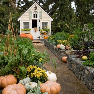 Сад и огород 