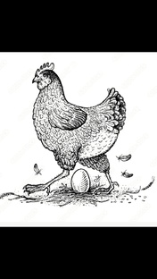 О композиции