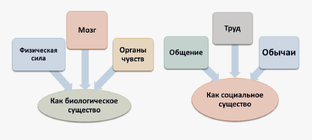 Школа с  трёх сторон