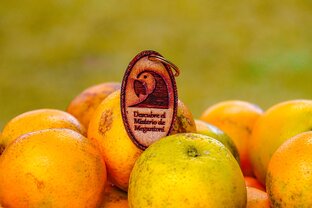 сельхоз ярмарки