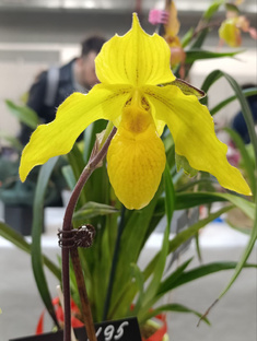 Картинки с выставки 