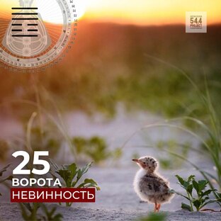 Ворота Дизайн Человека 
