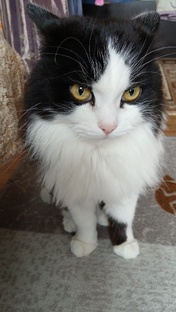 давно я подборки не выкладывал