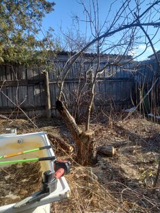 мои помошники на даче.