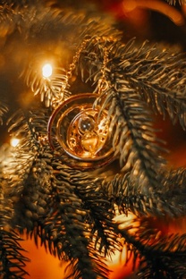 Новый год 2025 образы со ссылками