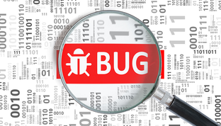 Bug Bounty охота за ошибками