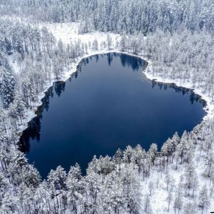 ТОМИЧИ И ТОМСК