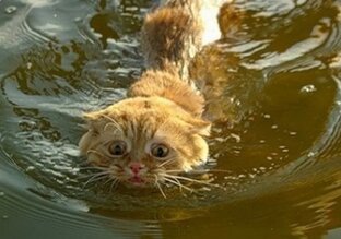 Рассказы (АУДИО)