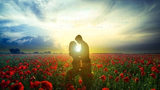 Любовная лирика