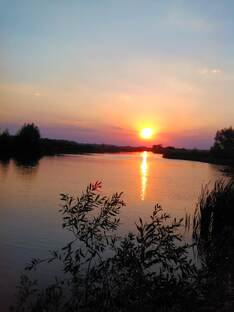 География села