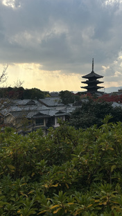Япония 🇯🇵