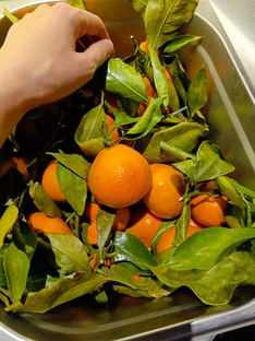 Новогоднее меню ❄