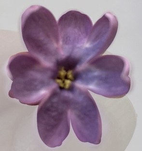 Письма от друзей