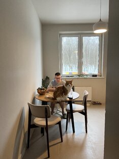 Чарли (мейн-кун) и другие животные 