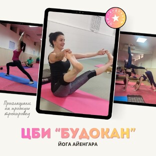 Йога Айенгара