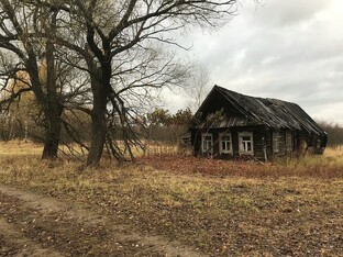 Солянка историй