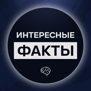 Интересные факты