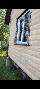 2023 год. Даченька. 