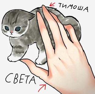 Кот Тимошка и другие братья младшие