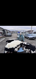 Обзор «Вязаный рынок» г. Черкесск