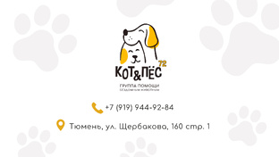 Видео о нас 