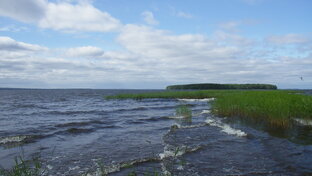 Путешествия