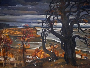 Загадки природы