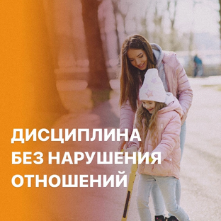 Дисциплина