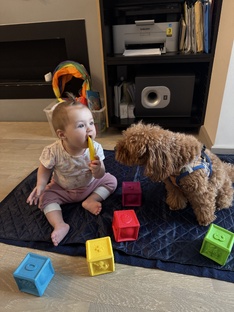 Хвостатый нянь 