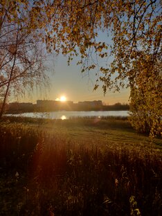 Наблюдашки