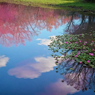 Размышления