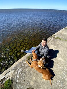 Собака в городе-все основы.
