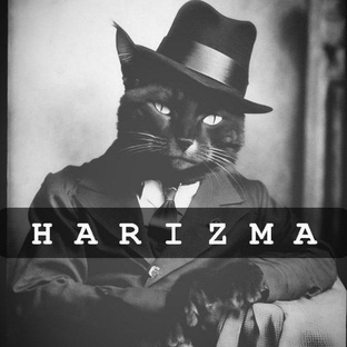 HARIZMA/365