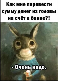 Ramus_Crash
