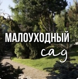 Малоуходный сад